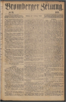 Bromberger Zeitung, 1876, nr 33