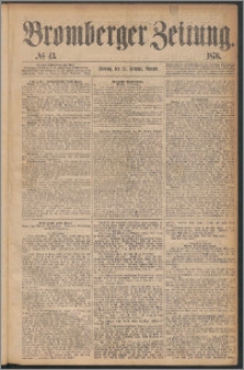 Bromberger Zeitung, 1876, nr 43