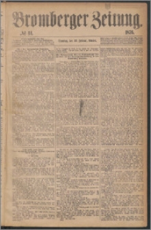Bromberger Zeitung, 1876, nr 44