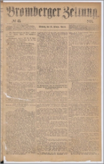 Bromberger Zeitung, 1876, nr 45
