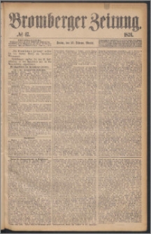 Bromberger Zeitung, 1876, nr 47