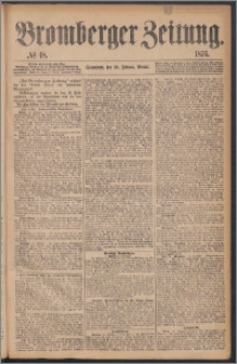 Bromberger Zeitung, 1876, nr 48