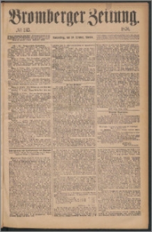 Bromberger Zeitung, 1876, nr 245