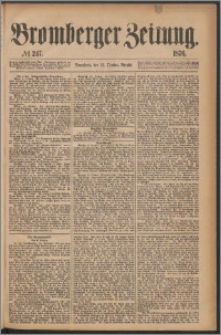 Bromberger Zeitung, 1876, nr 247