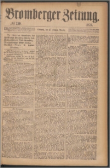 Bromberger Zeitung, 1876, nr 250