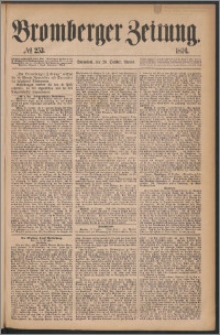 Bromberger Zeitung, 1876, nr 253