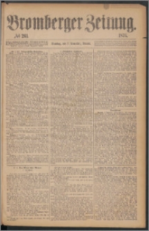 Bromberger Zeitung, 1876, nr 261