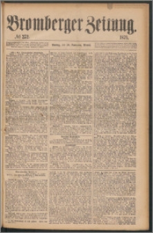 Bromberger Zeitung, 1876, nr 272