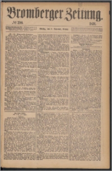 Bromberger Zeitung, 1876, nr 290