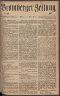 Bromberger Zeitung, 1877, nr 38