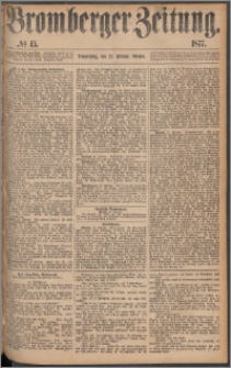 Bromberger Zeitung, 1877, nr 45