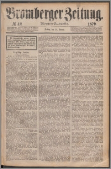 Bromberger Zeitung, 1879, nr 42