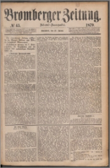 Bromberger Zeitung, 1879, nr 45