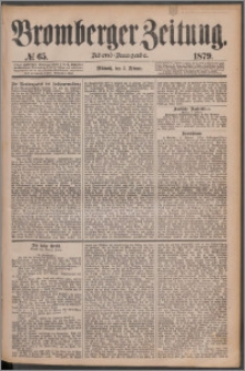 Bromberger Zeitung, 1879, nr 65