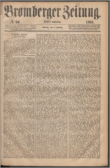 Bromberger Zeitung, 1881, nr 36