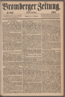 Bromberger Zeitung, 1881, nr 246