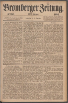 Bromberger Zeitung, 1881, nr 250