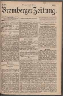 Bromberger Zeitung, 1882, nr 295