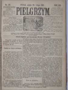 Pielgrzym, pismo religijne dla ludu 1881 nr 24