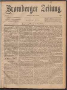 Bromberger Zeitung, 1889, nr 253