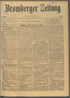 Bromberger Zeitung, 1893, nr 239