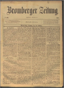 Bromberger Zeitung, 1894, nr 241
