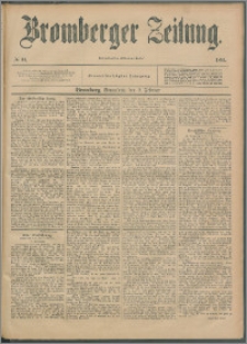 Bromberger Zeitung, 1895, nr 34