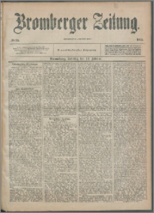 Bromberger Zeitung, 1895, nr 35