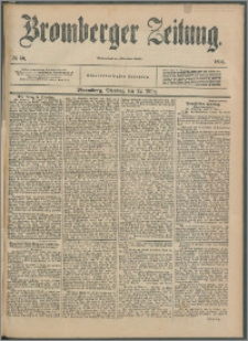 Bromberger Zeitung, 1895, nr 60