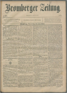 Bromberger Zeitung, 1895, nr 250
