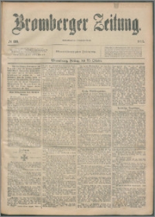 Bromberger Zeitung, 1895, nr 251