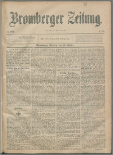 Bromberger Zeitung, 1895, nr 253