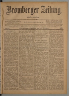 Bromberger Zeitung, 1901, nr 241