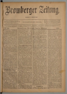 Bromberger Zeitung, 1901, nr 243