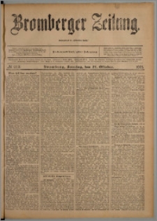 Bromberger Zeitung, 1901, nr 253