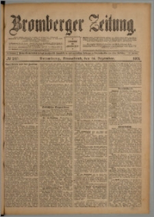 Bromberger Zeitung, 1901, nr 293