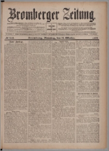 Bromberger Zeitung, 1904, nr 245