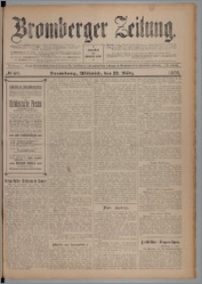 Bromberger Zeitung, 1905, nr 69