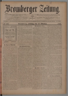 Bromberger Zeitung, 1905, nr 253