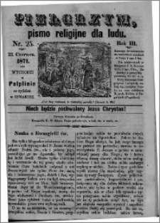 Pielgrzym, pismo religijne dla ludu 1871 nr 25