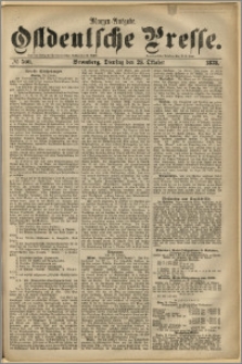 Ostdeutsche Presse. J. 2, 1878, nr 500