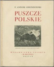 Puszcze polskie