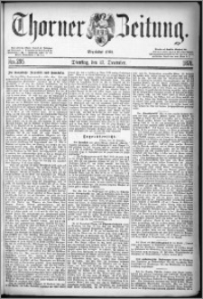 Thorner Zeitung 1878, Nro. 295