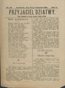 Przyjaciel Dziatwy : pismo poświęcone dla naszej kochanej dziatwy polskiej 1904.11.24 nr 46