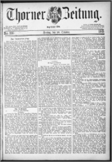 Thorner Zeitung 1882, Nro. 246