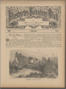 Illustrirtes Sonntags Blatt 1887, 1 Quartal, nr 7
