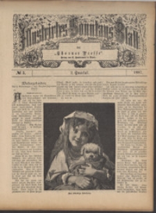 Illustrirtes Sonntags Blatt 1887, 2 Quartal, nr 3