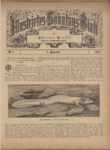 Illustrirtes Sonntags Blatt 1887, 3 Quartal, nr 2