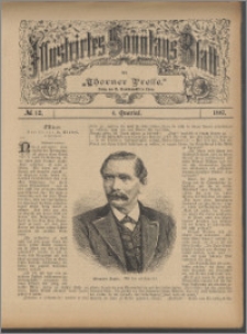Illustrirtes Sonntags Blatt 1887, 4 Quartal, nr 12