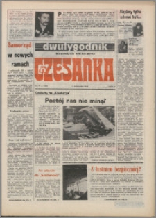 Czesanka : dwutygodnik toruńskich włókniarzy 1981, R. 4 nr 19